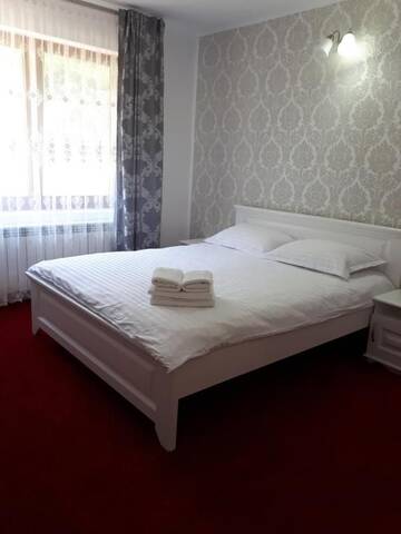 Фото номера Улучшенный двухместный номер с 1 кроватью Гостевой дом Pensiunea Casa David г. Шугаг 9