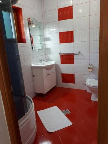Фото номера Улучшенный двухместный номер с 1 кроватью Гостевой дом Pensiunea Casa David г. Шугаг 12