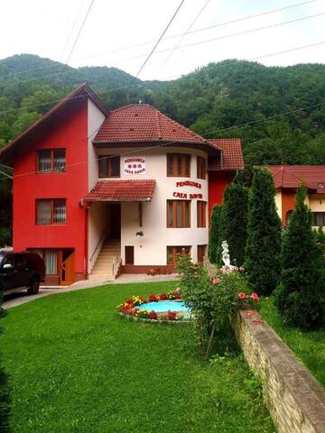 Фотографии Гостевой дом Pensiunea Casa David г. Шугаг (Румыния) №1 Фото Гостевой дом Pensiunea Casa David г. Шугаг 1